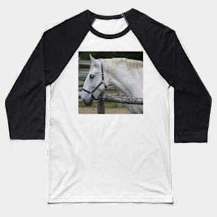 White Horse Baseball T-Shirt